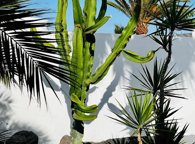 Casa Alizee, Heated Pool, Hot Tub Ferienhaus