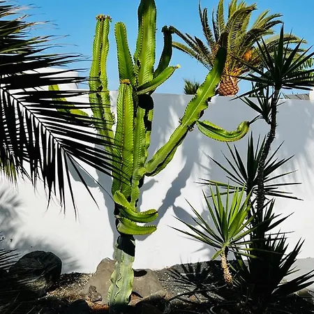 Casa Alizee, Heated Pool, Hot Tub Semesterbostad